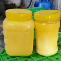 روغن گاو