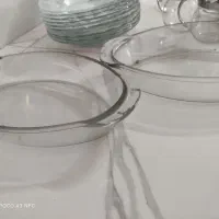 ۱۲عدد خورشت خوری انگشتی ودوعدد مرغ خوری