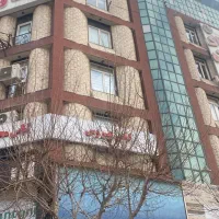 اداری فلت/درختی/بدون مشابه/تخلیه