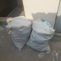 کود کبوتری