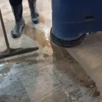کف سابی انواع سنگ و موزاییک پولیش سرامیک
