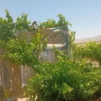 باغ و زمین کشاورزی