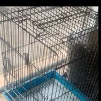 یک عدد قفس طوطی بزرگ یا کاسکو