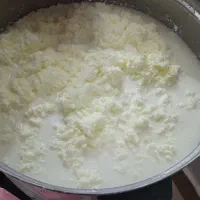 کره گوسفندی