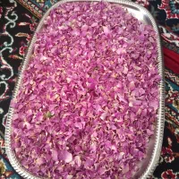 یک عدد