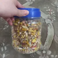 غذای همستر