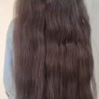 خریدار موی طبیعی بالای۵۰سانت