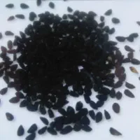 بذر پیاز محلی تازه تمیز