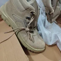 کفش کار