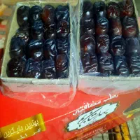 فروش خرمای رطب صادراتی