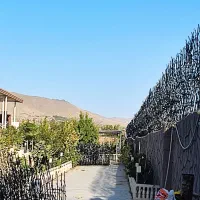 تولید حفاظ شاخ گوزنی