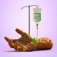 کود ارگانیک برای زمین خسته