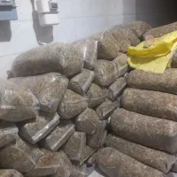 ذرت علوفه ای بسته بندی شده