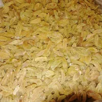 کشمش سبز کشیده