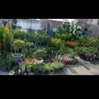 خدمات باغبانی و گلکاری در سراسر کرج پذیرفته میشود