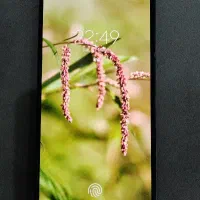 Samsung Galaxy A50