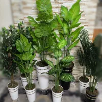 طبیعت را در همه جا تداعی کنیم.