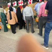 استا کار ماهر میوه فروشی