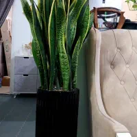 امستل گل وگیاه