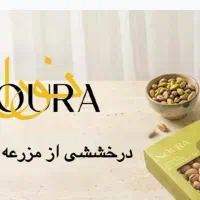 بازاریاب حضوری و ویزیتور