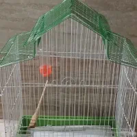 قفس پرنده عروس هلندی