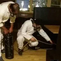سم پاشی اصولی موریانه با ضمانت سمپاشی ساس سوسک