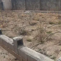 باغ-1000متری-جنب-کانال-دیوارکشی-استخر-نیم-ساعت-آب