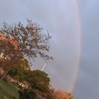 وامگم هس