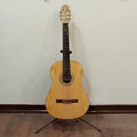 گیتار آگرین