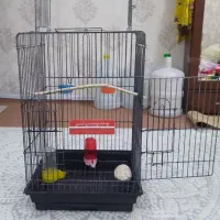 قفس پرنده+ چهارپایه قفس نونو بدون استفاده