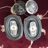 بوق ۱۰۱۱ و باند پایونیر