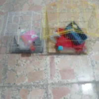 فروش قفس پرنده