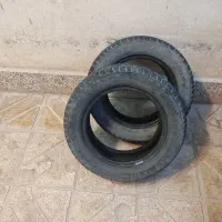 لاستیک بارز پرایدی