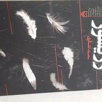 رمان رژیسور