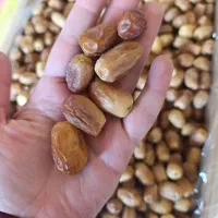 پخش عمده خرمای زاهدی وشاهانی