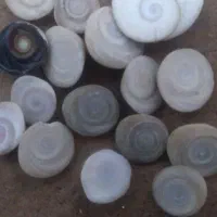 مهره فروشی
