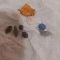 مهره اصلی