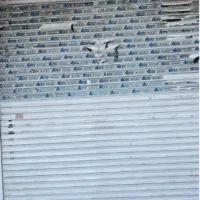 مغازه تجاری ۳۰۰ متر  بر  اصلی ستارخان