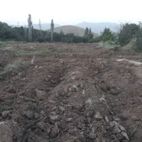 زمین کشاورزی  سورازه