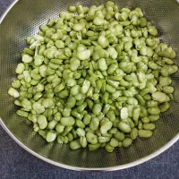 باقالی کیلویی ۳۰۰