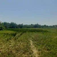 زمین-باغی-سیاهکل