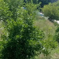 اجاره روزانه خونه مبله و مجهز