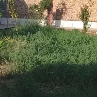 خانه ویلایی در شهرستان هیرمند