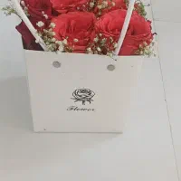 گل نونو|گل و گیاه طبیعی|مشهد, فرهنگیان (شهرک غرب)|دیوار