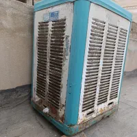 کولرابی پشت بام