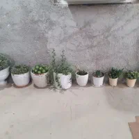 گل و گلدان