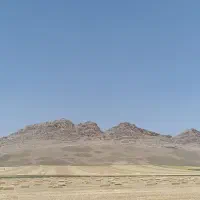 کاه گندم دیم