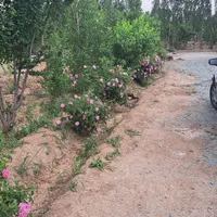 فروش زمین ۵۶۰ متری در شمس‌آباد|فروش زمین و ملک کلنگی|تهران, شمس‌آباد|دیوار