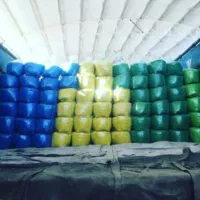 شن رنگی|گل و گیاه طبیعی|حاجی آباد, |دیوار