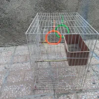 قفس پرنده